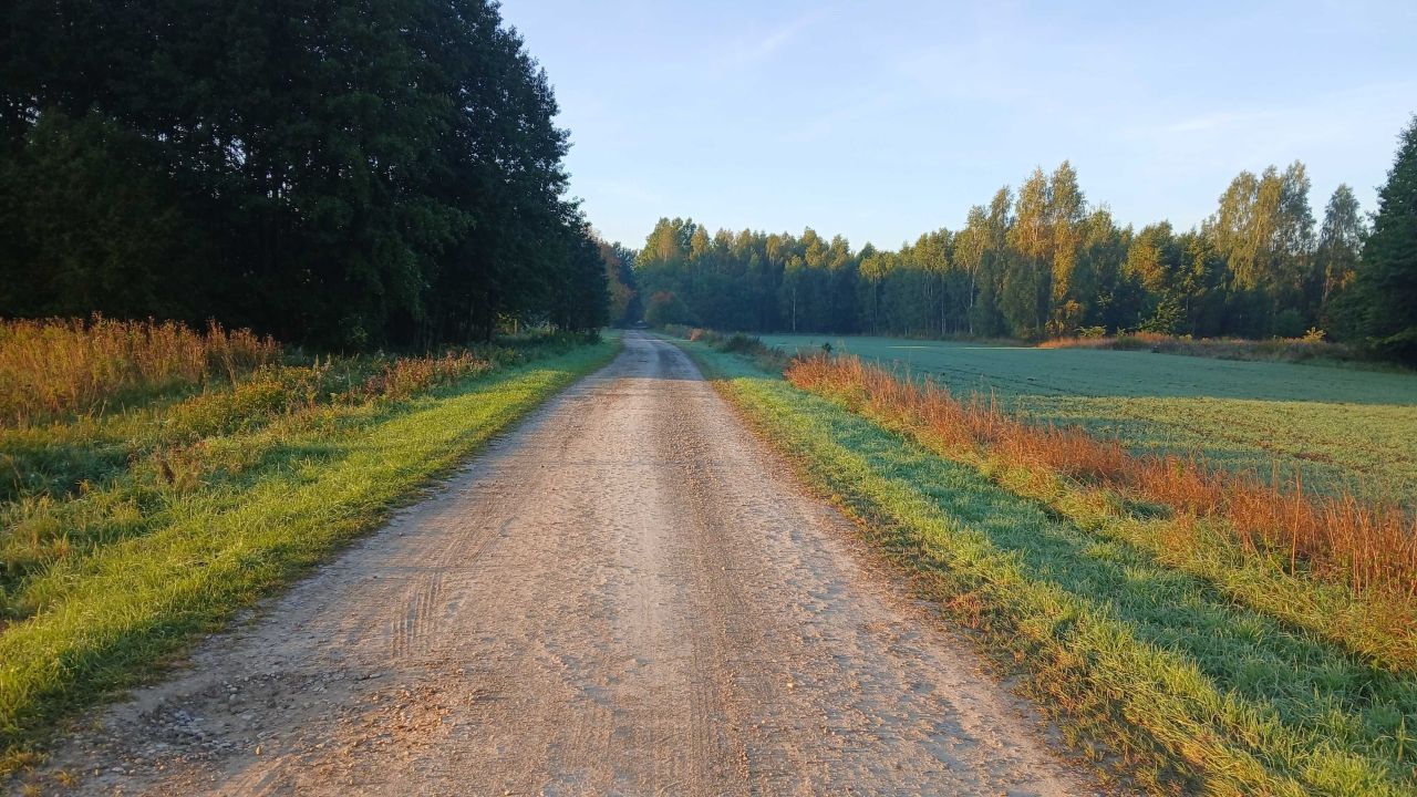 Działka rekreacyjna Sieciechów. Zdjęcie 8