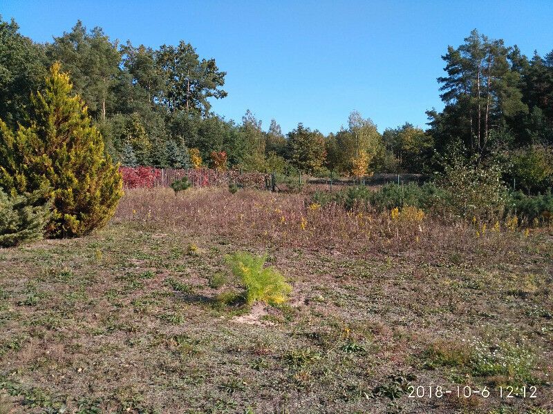 Działka budowlana Kocerany, ul. Widokowa. Zdjęcie 7