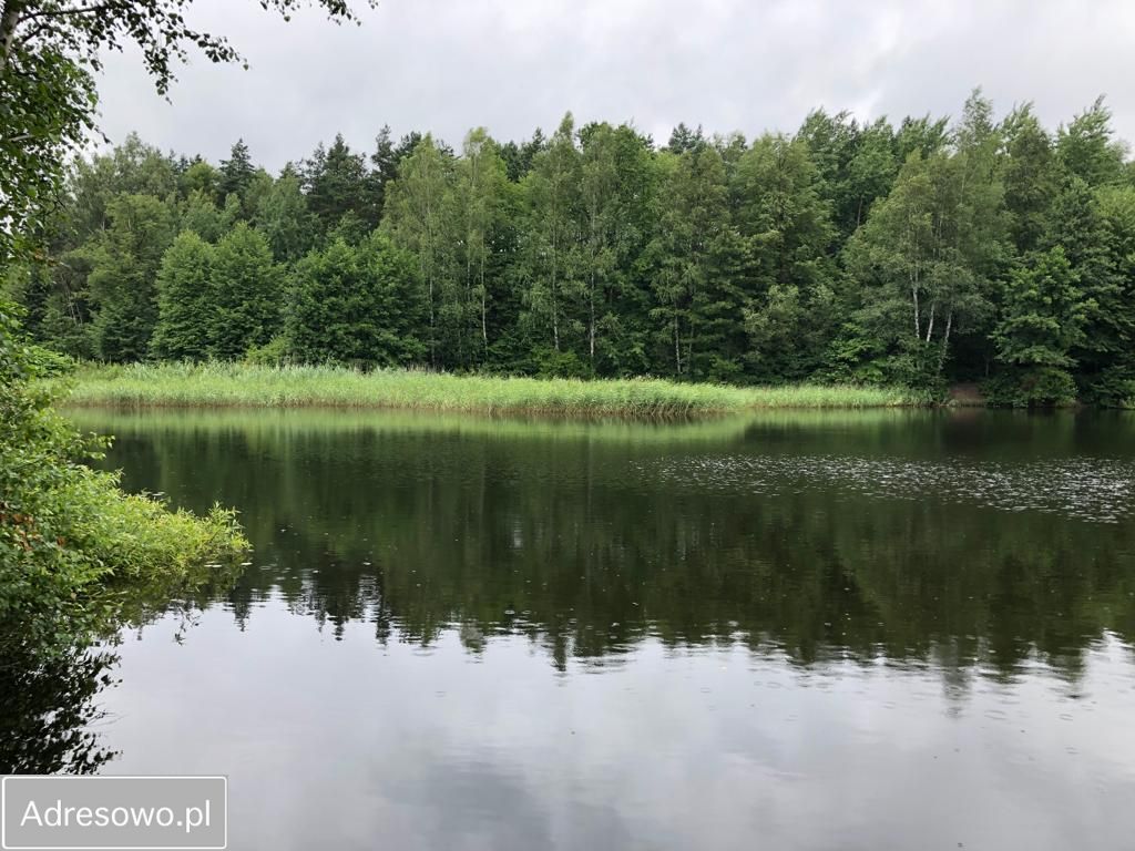 dom wolnostojący, 6 pokoi Łazy, ul. Partyzantów. Zdjęcie 7