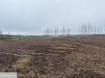 Działka budowlana Bielkówko, ul. Kolonia. Zdjęcie 4