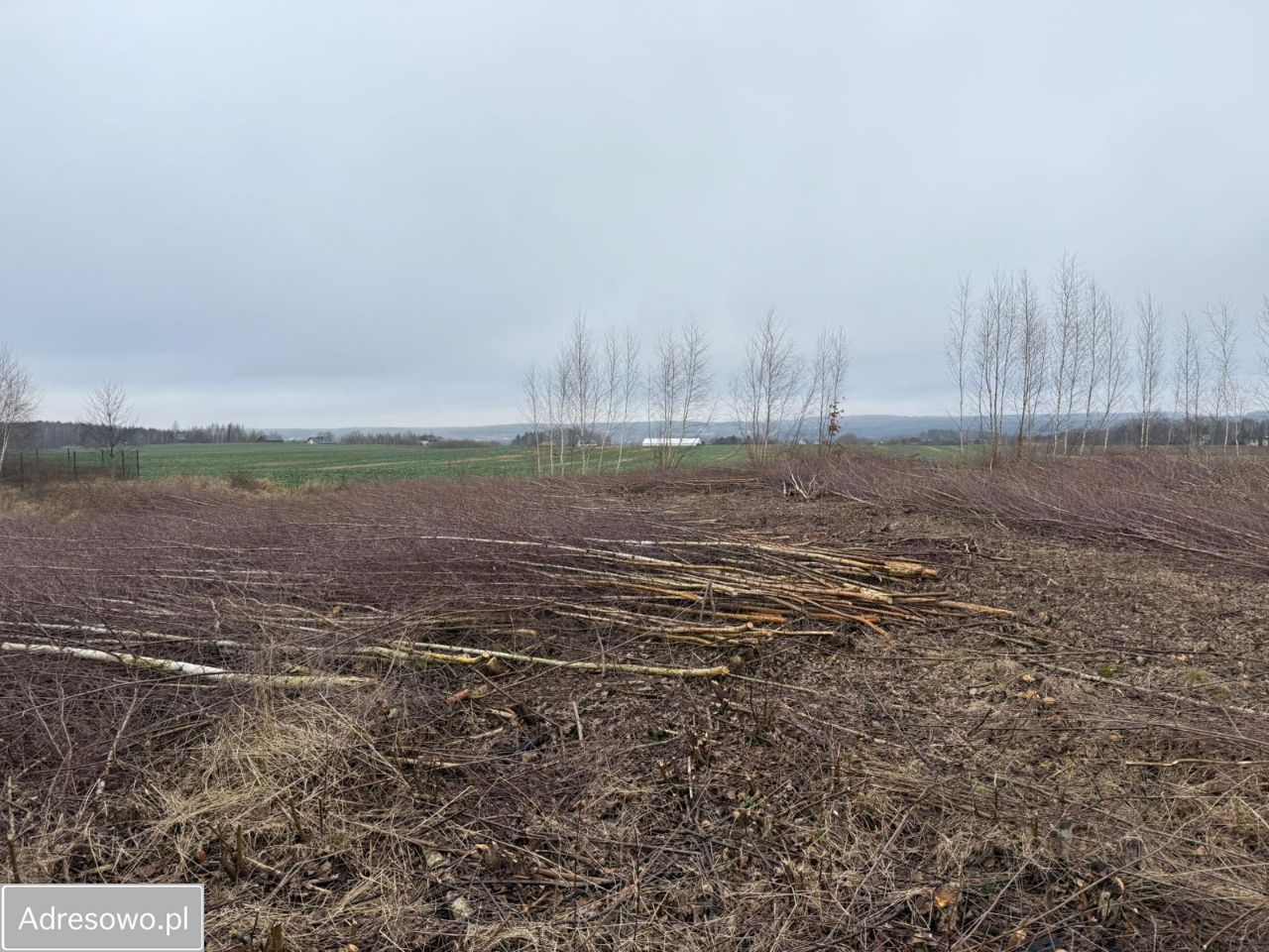 Działka budowlana Bielkówko, ul. Kolonia. Zdjęcie 5