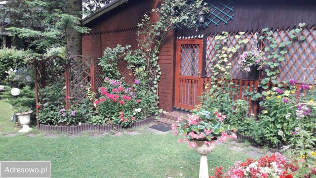 Działka rod Komorów. Zdjęcie 1