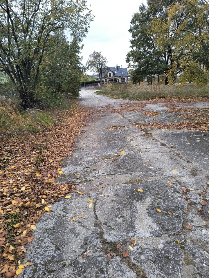 dom wolnostojący, 11 pokoi Kotla, ul. Głogowska. Zdjęcie 16