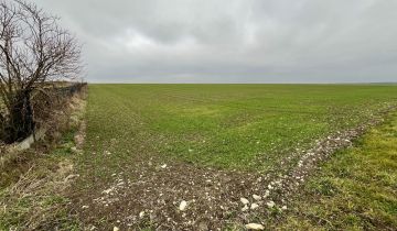 Działka budowlana Trzciniec