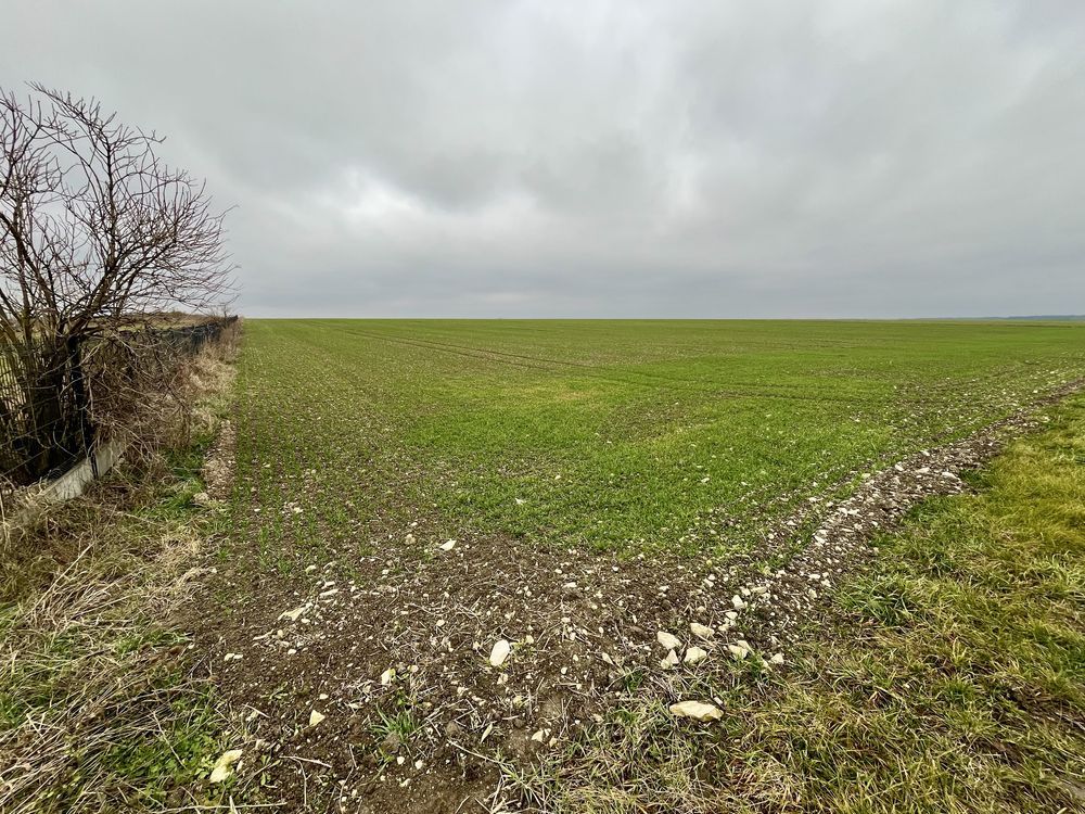 Działka budowlana Trzciniec. Zdjęcie 2