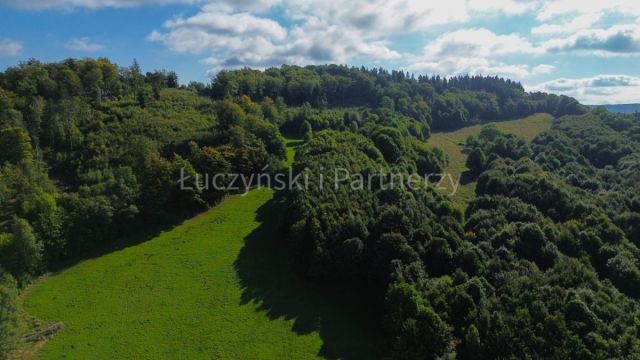 Działka rolna Wojcieszów. Zdjęcie 4