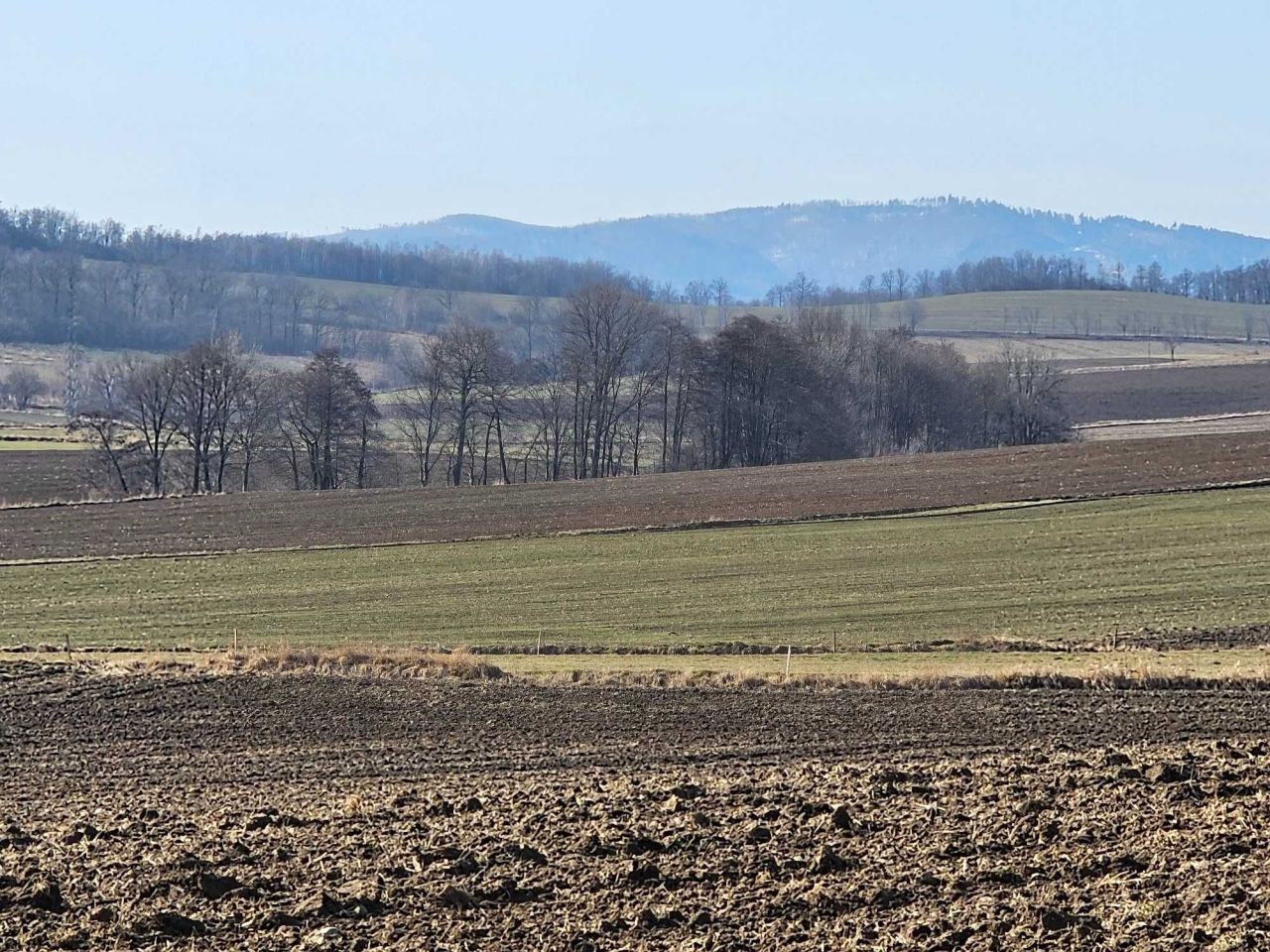 Działka budowlana Przedborowa. Zdjęcie 3