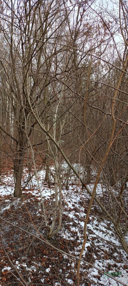 Działka inna Wojkowice, ul. Jana III Sobieskiego. Zdjęcie 2