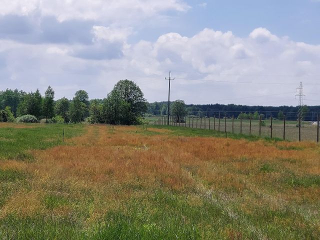 Działka rolna Zabrody. Zdjęcie 1