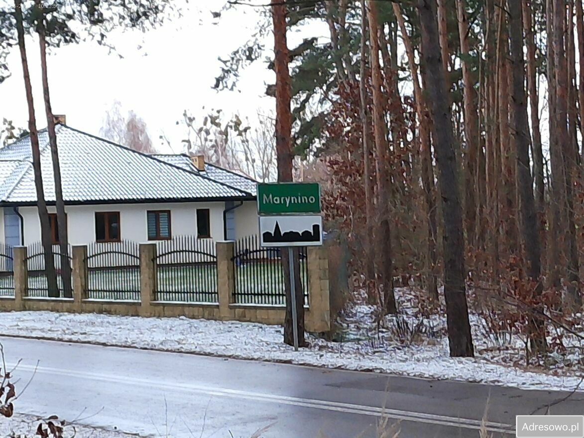 Działka leśna Marynino. Zdjęcie 4