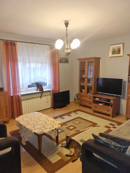 dom wolnostojący, 3 pokoje Biała Podlaska. Zdjęcie 2