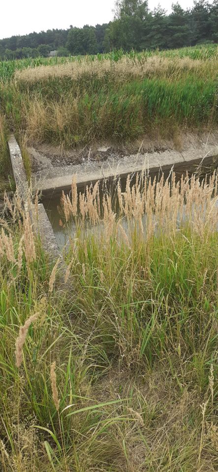 Działka rolno-budowlana Lututów Młynek, ul. Wrocławska. Zdjęcie 6