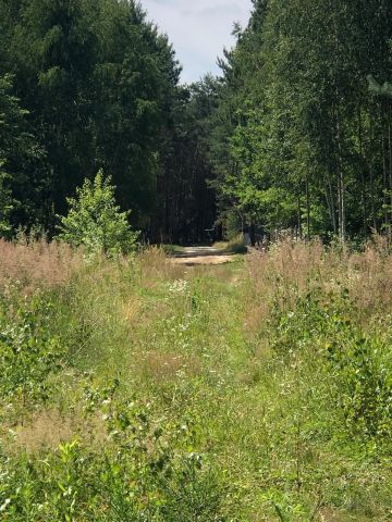 Działka rekreacyjna Życiny. Zdjęcie 1