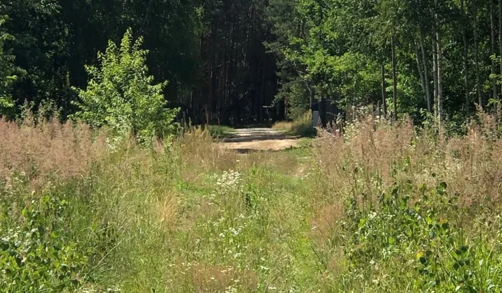 Działka rekreacyjna Życiny