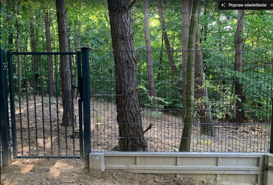 Działka rod Gdańsk Matarnia, ul. mjr. Mieczysława Słabego. Zdjęcie 5