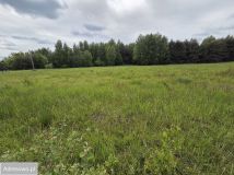 Działka budowlana Występa. Zdjęcie 3