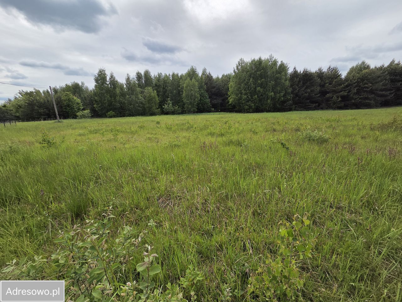 Działka budowlana Występa. Zdjęcie 4