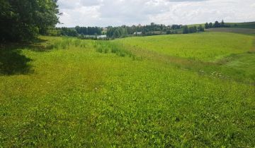 Działka rolno-budowlana Daniłowce