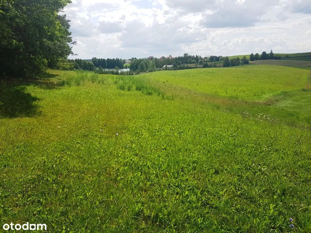 Działka rolno-budowlana Daniłowce. Zdjęcie 2