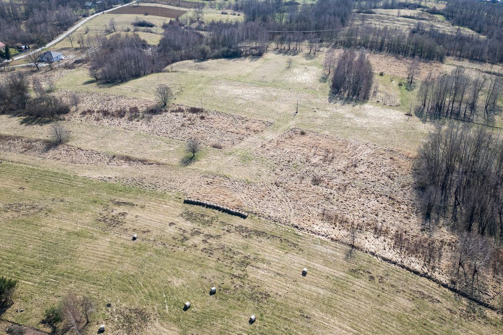 Działka Lubenia. Zdjęcie 4