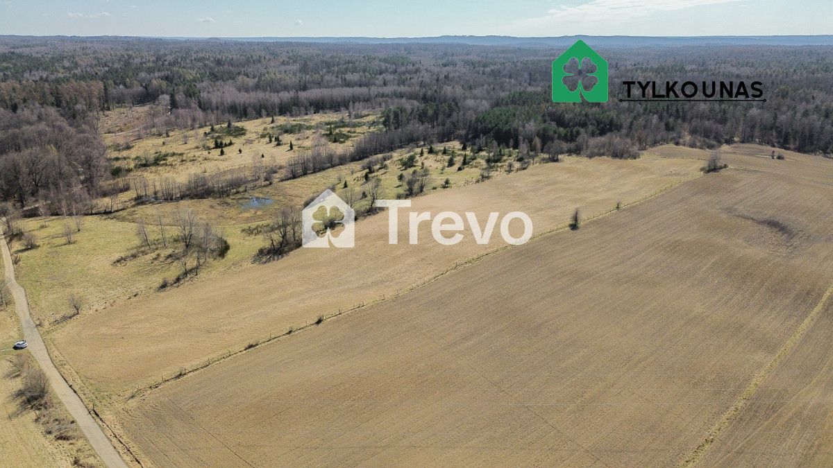 Działka siedliskowa Chrzanowo. Zdjęcie 3