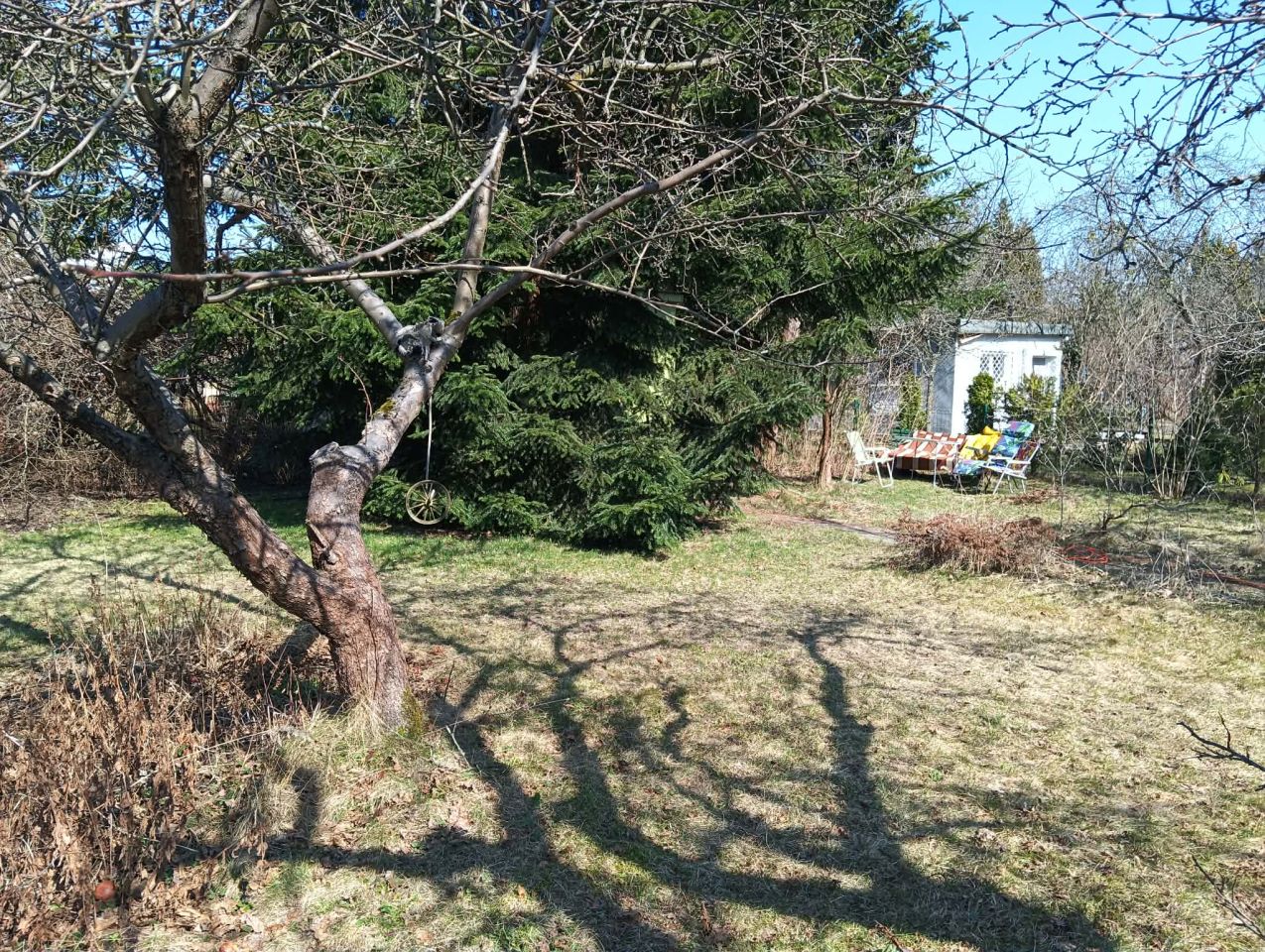 Działka rod Łódź Bałuty, ul. Działkowa. Zdjęcie 7