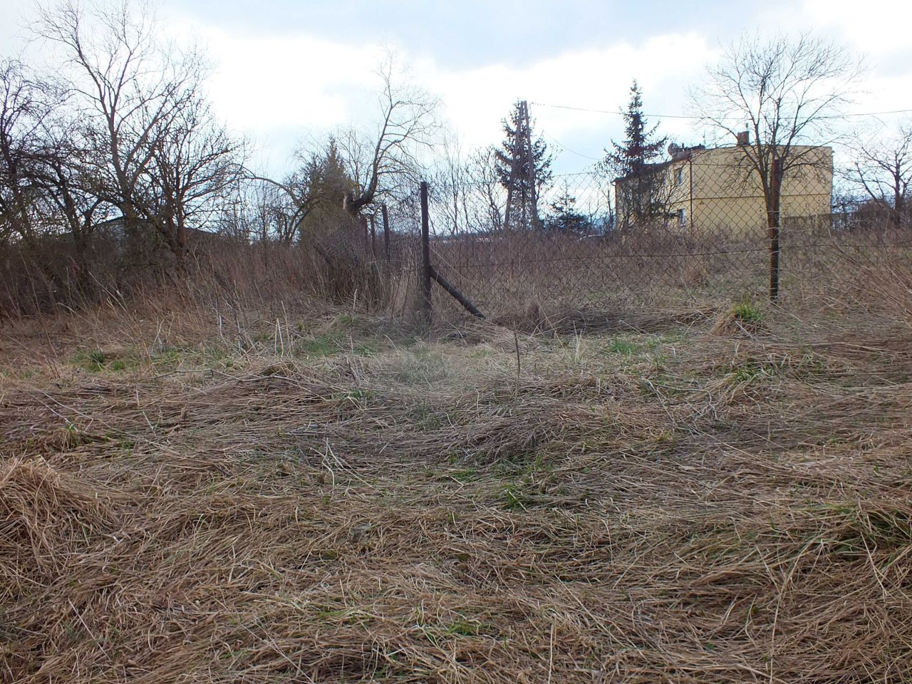 Działka Szalejów Górny. Zdjęcie 6