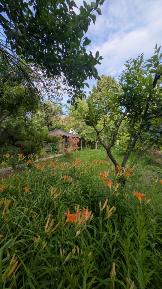 Działka rekreacyjna Warszawa Szczęśliwice, ul. Śmigłowca