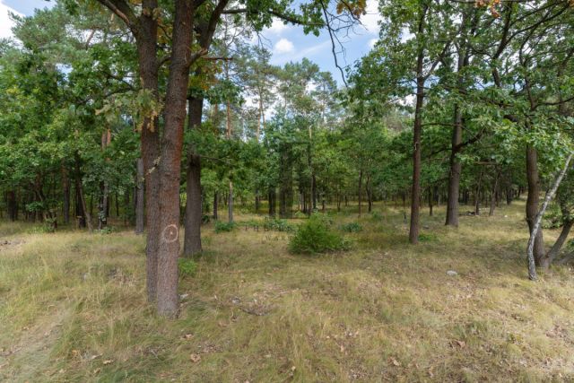 Działka budowlana Warszawa Wesoła. Zdjęcie 3