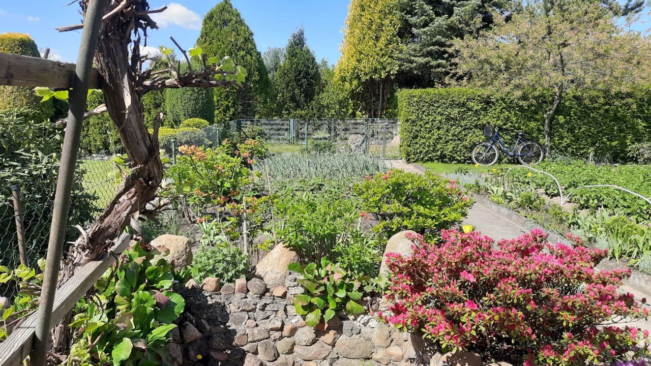 Działka rod Dziewkowice. Zdjęcie 3