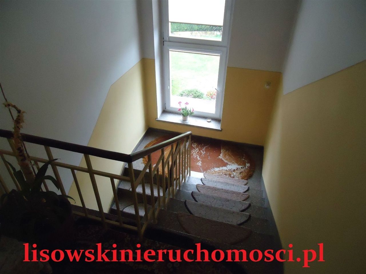 dom wolnostojący, 5 pokoi Emilia. Zdjęcie 26