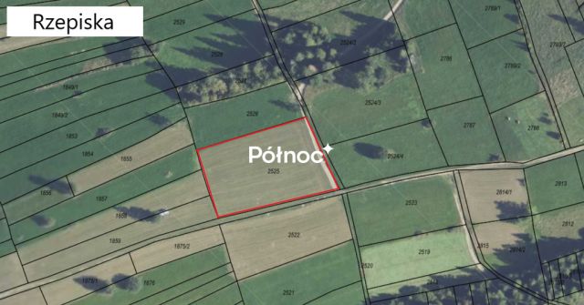 Działka rolna Rzepiska. Zdjęcie 6