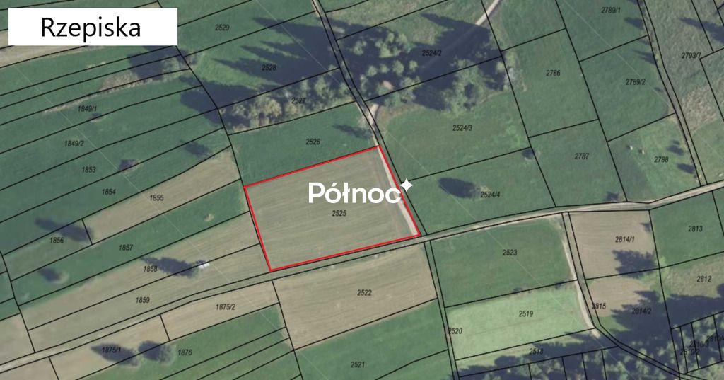 Działka rolna Rzepiska. Zdjęcie 6