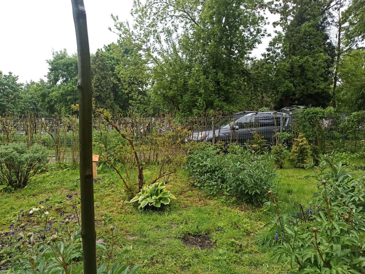 Działka rod Kraków Grzegórzki, ul. Rakowicka. Zdjęcie 6