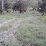 Działka rolno-budowlana Ulasek. Zdjęcie 4