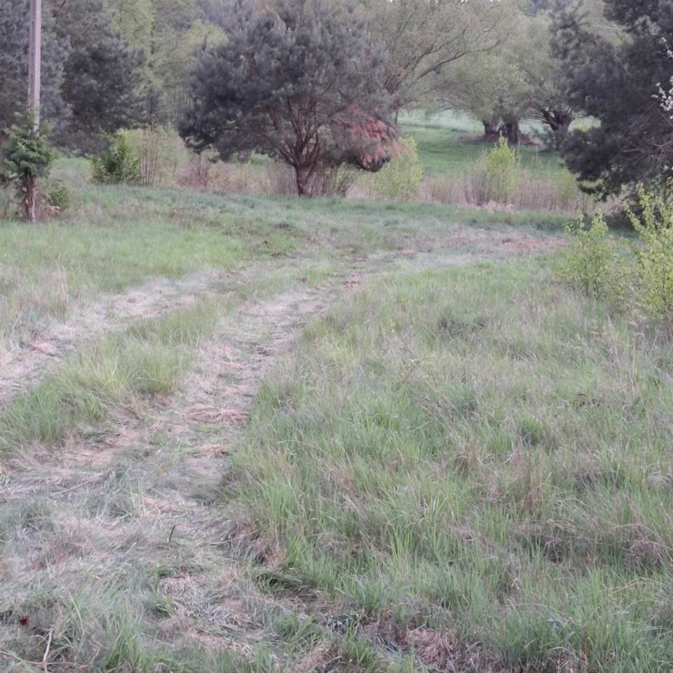 Działka rolno-budowlana Ulasek. Zdjęcie 5