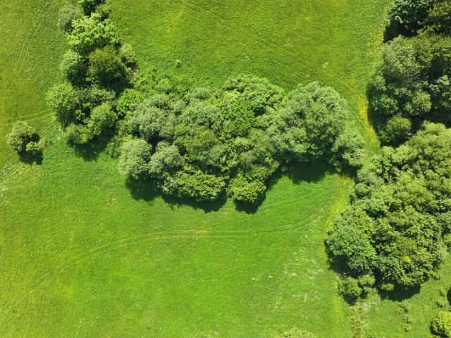 Działka rolna Baligród. Zdjęcie 6