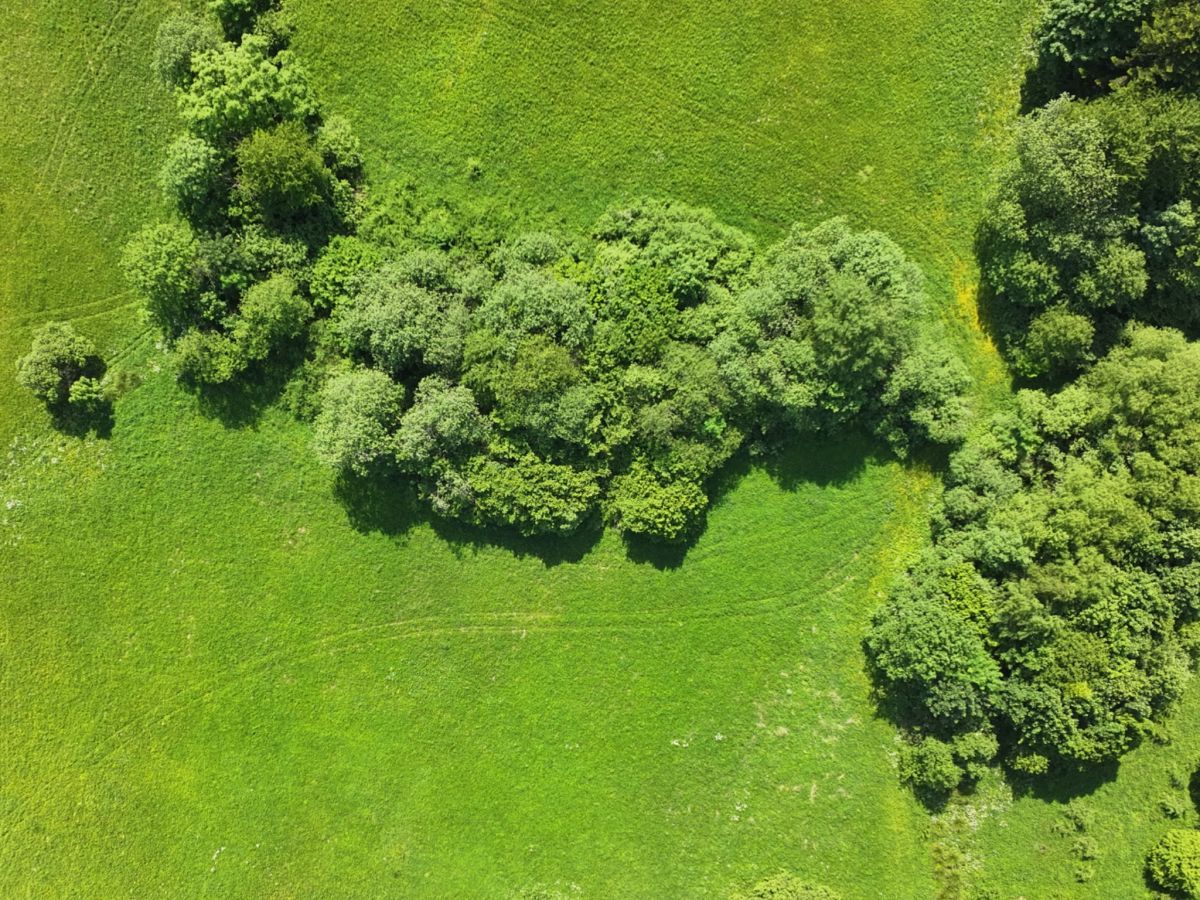 Działka rolna Baligród. Zdjęcie 6