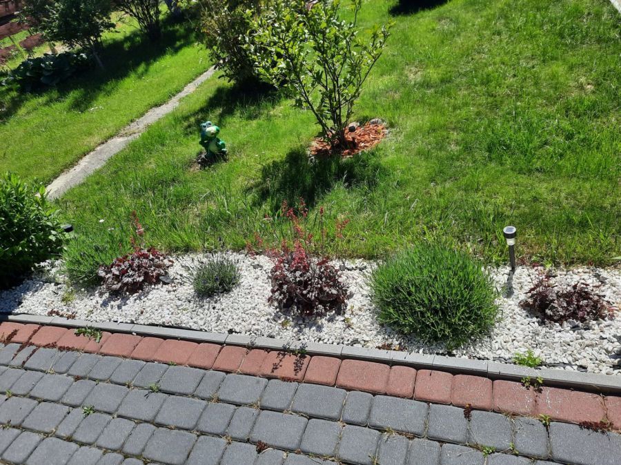 Działka rod Gdańsk Rębiechowo, ul. Nowatorów. Zdjęcie 15