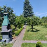 Działka rod Pleszew, ul. Wierzbowa. Zdjęcie 3