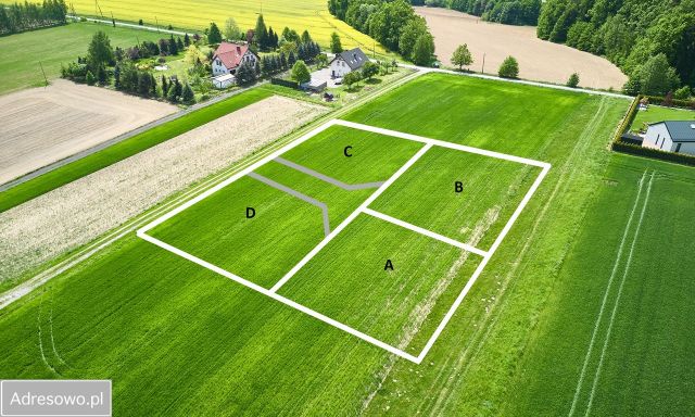 Działka budowlana Roztropice. Zdjęcie 6