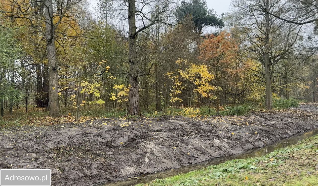 Działka inwestycyjna Ozorowice, ul. Młynarska. Zdjęcie 8