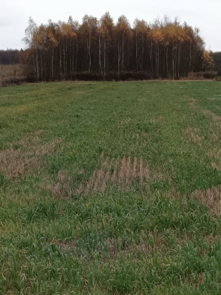 Działka rolna Antoniki. Zdjęcie 3