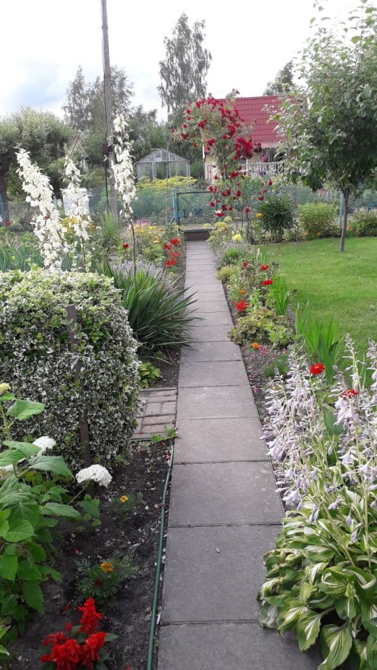 Działka rod Człuchów, ul. Koszalińska. Zdjęcie 3