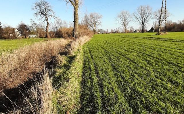 Działka budowlana Piaskowiec. Zdjęcie 6