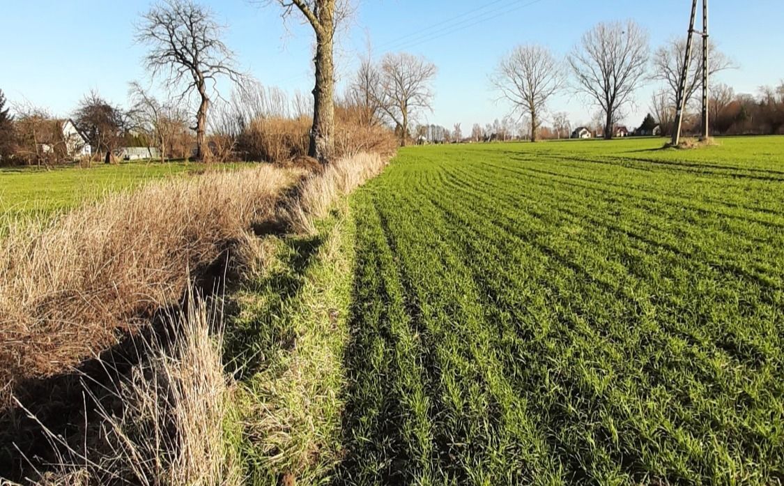 Działka budowlana Piaskowiec. Zdjęcie 6