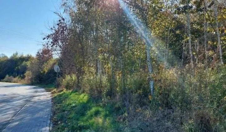 Działka rolna Potoczek