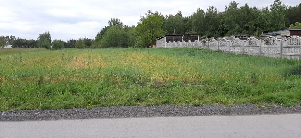 Działka rolno-budowlana Rososza. Zdjęcie 2