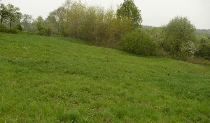 Działka budowlana Chorowice