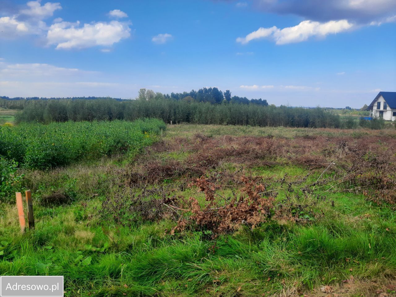 Działka budowlana Rybaki, ul. Spacerowa. Zdjęcie 12
